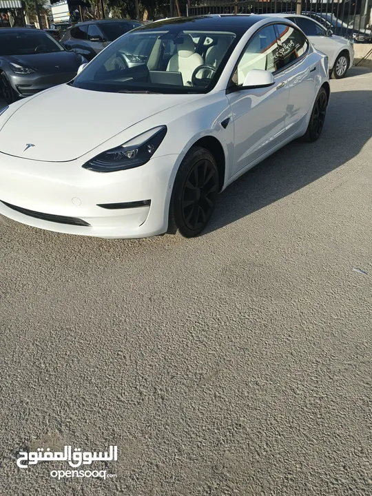 Tesla model 3 2021