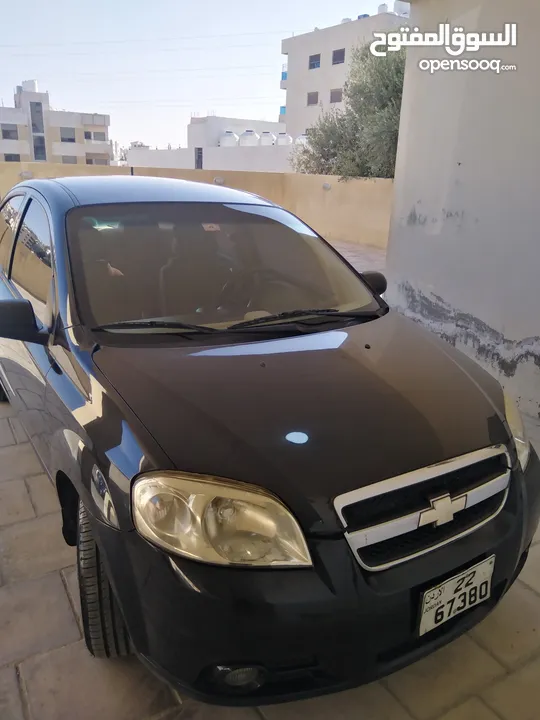 شفر افيو للبيع