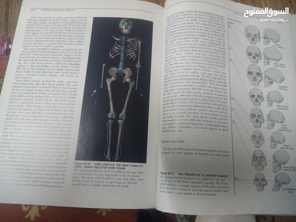 كتاب بعنوان biology