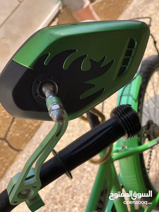 BMX-Lion 20
