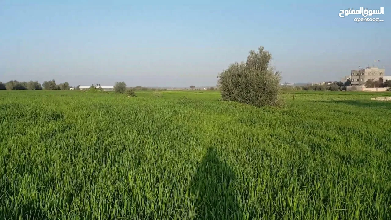ارض للبيع ايدون حوض الطوال شارعين