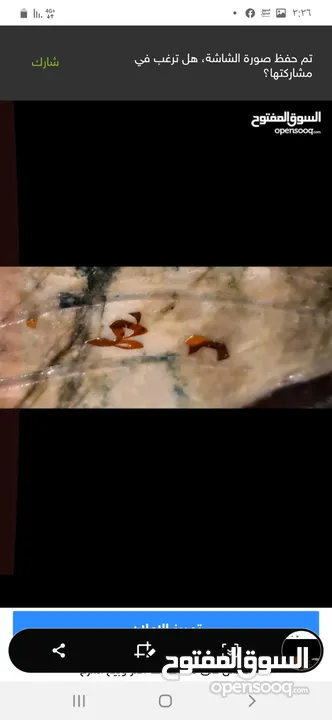 تحفة  فخمه  نادرة  على قاعدة خشب ورد ختم صيني  ثمينه من ال Jade احجار اليشم الكريمة ختم ملكي - الصين