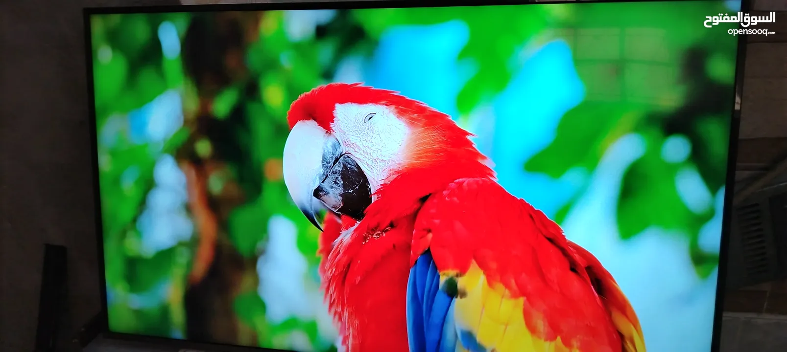 شاشه اي فيو 65 سمارت