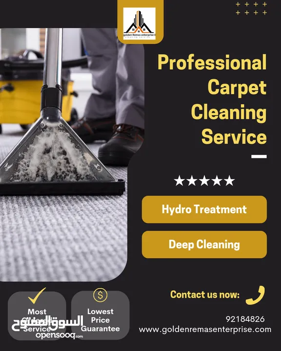 professional deep cleaning service  sofa carpet mattress crating with shampooing home clean service