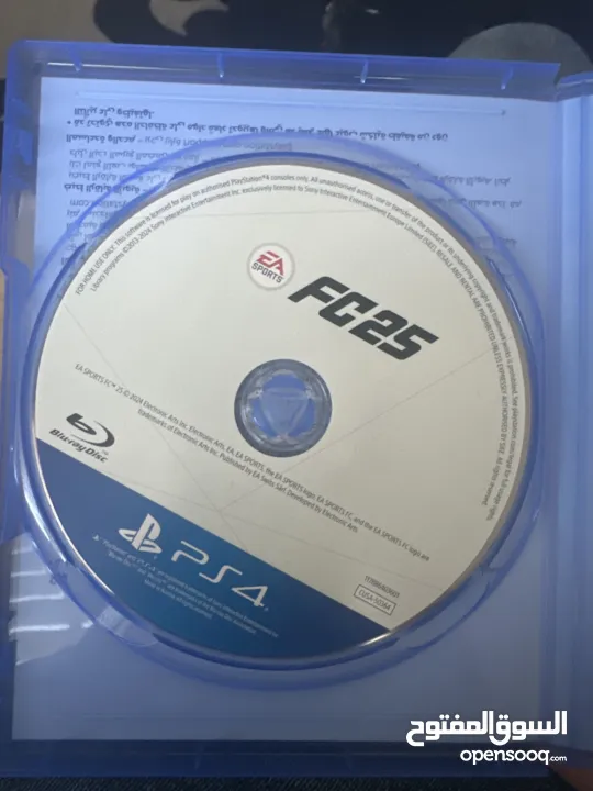 سيدي فيفا 2025