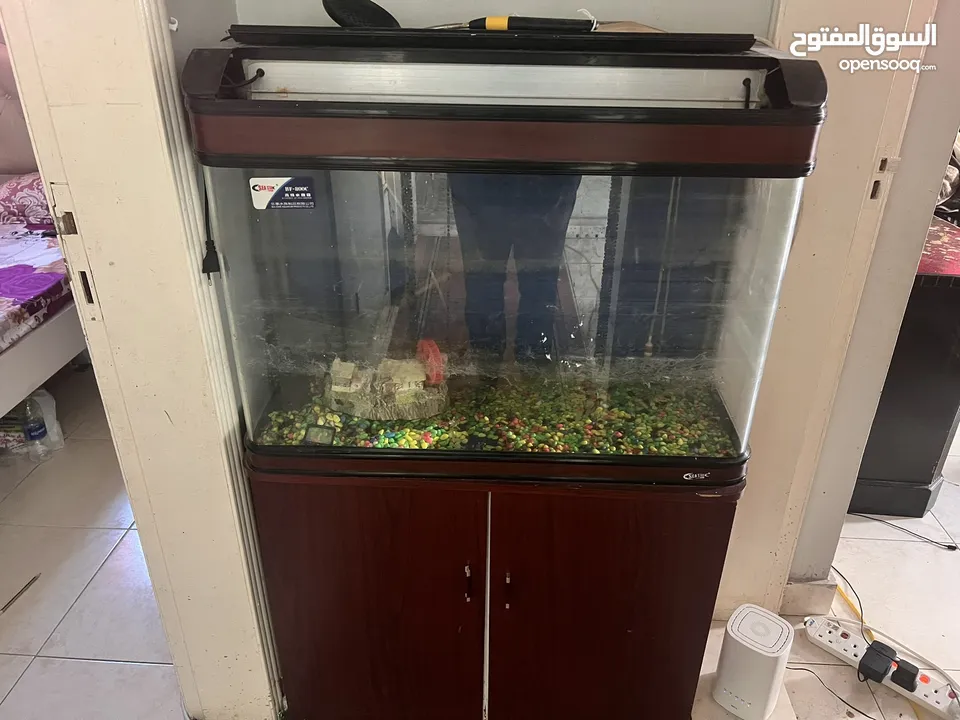 2 Aquarium for sale