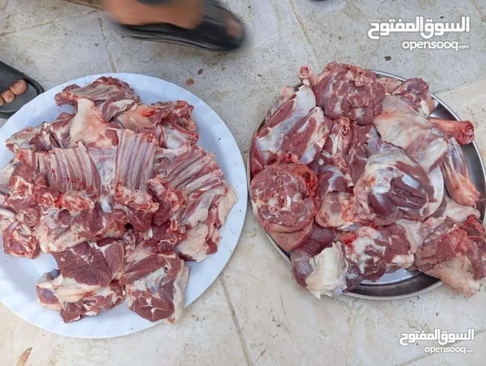 لحام ذبح الأظاحي في المنازل الزرقاء  ابو قصي