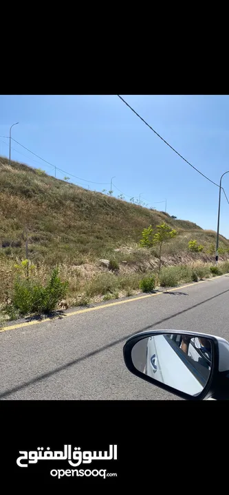 ارض.في.اجنسنيا