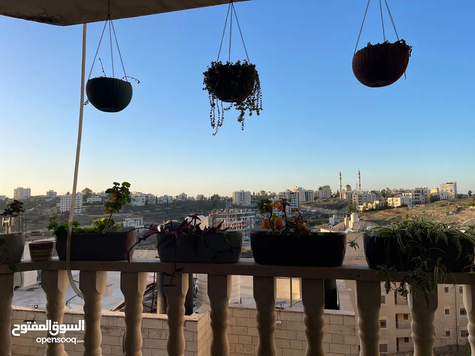 شقه مفروشة بالكامل للايجار