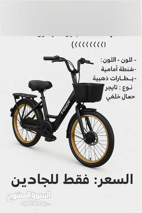 بسكليت كهربا
