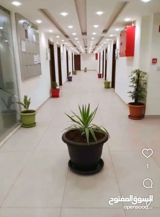 مكاتب تجارية للبيع او الايجار
