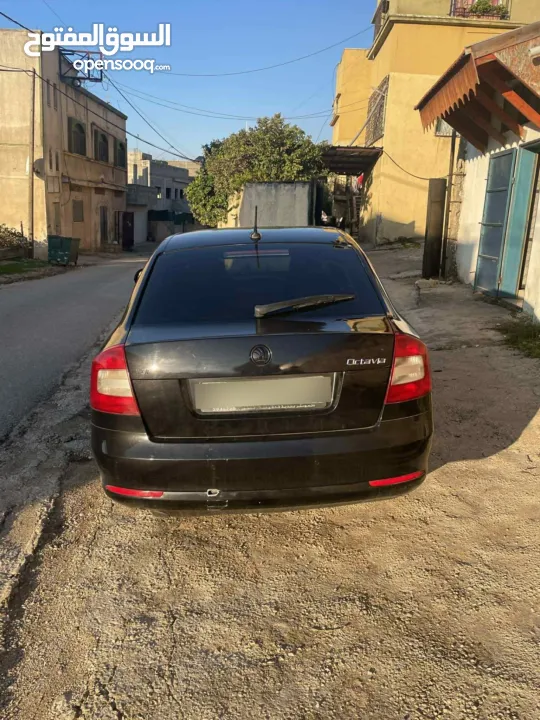سكودا اوكتافيا رمش 2012