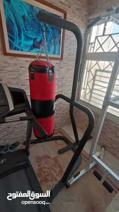Dual Boxing Stand With Bag