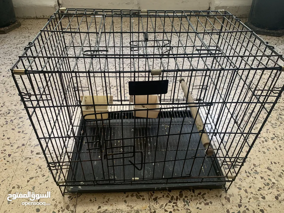 قفص ببغاء أو قطه