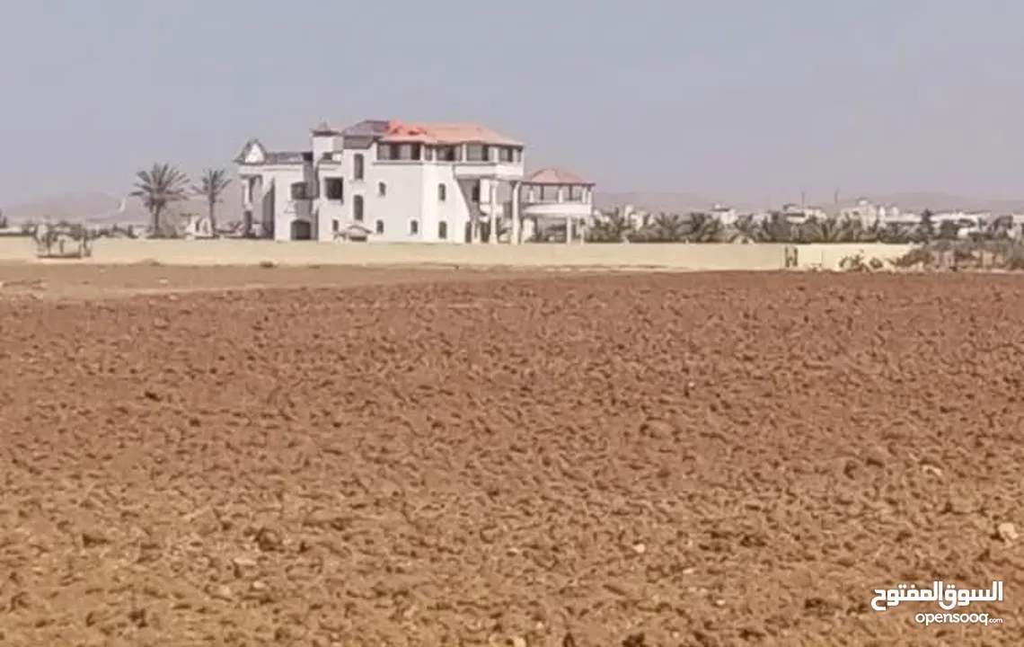 قطعة ارض مميزة استثماريه 5دونمات حوض يرموك الغربي بقرب من شارع البتراء وقصر الجمال تبعد 300 ع شارع