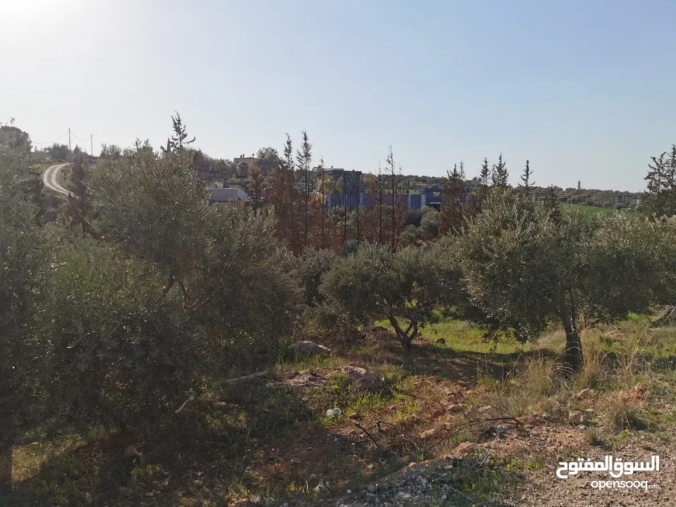 قطعة أرض مميزة في السلط الصبيحي سيحان بسعر مغري بمنطقة جميلة