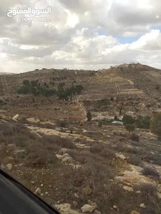 أرض للبيع من المالك مباشرة الخليل دورا