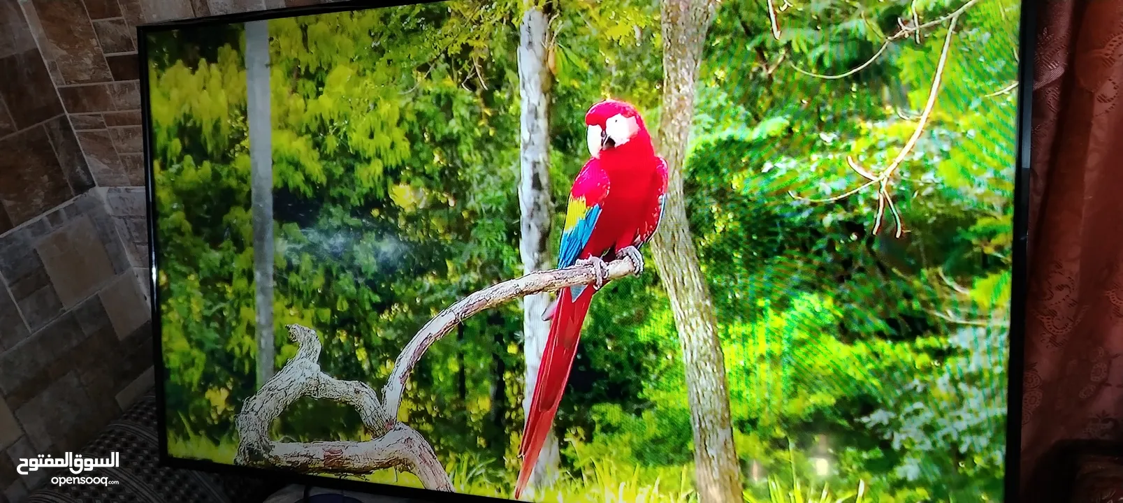 شاشه سكاي وورث 50 ال اي دي