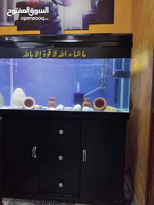 حوض سمك أجنبي بحالة الوكاله مع هيتر300 + مضخة رفع مناضر لحوض مضخة أكسجين مع فلتر سامب داخلي