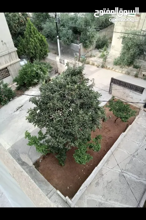 شقه للبيع مع السطح وحق الاعتلاء