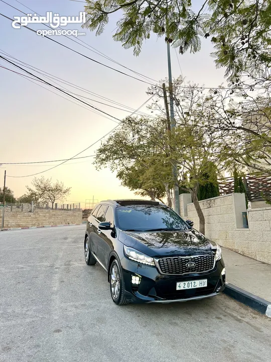 جيب سورينتو