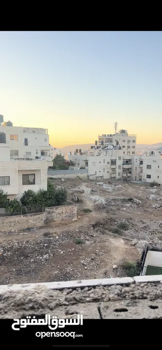 شقه عظم رفيديا
