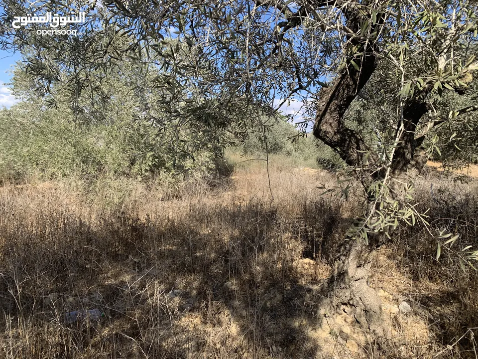 ارض لبيع على شارع