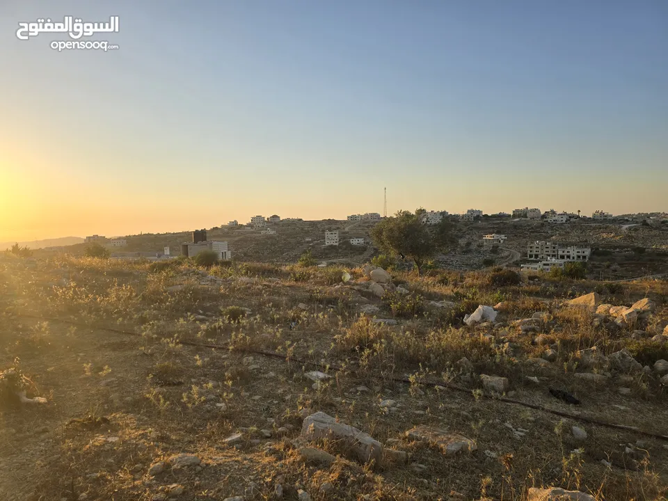 اطلاله ابديه ع الغرب 700 متر ابو شخيدم