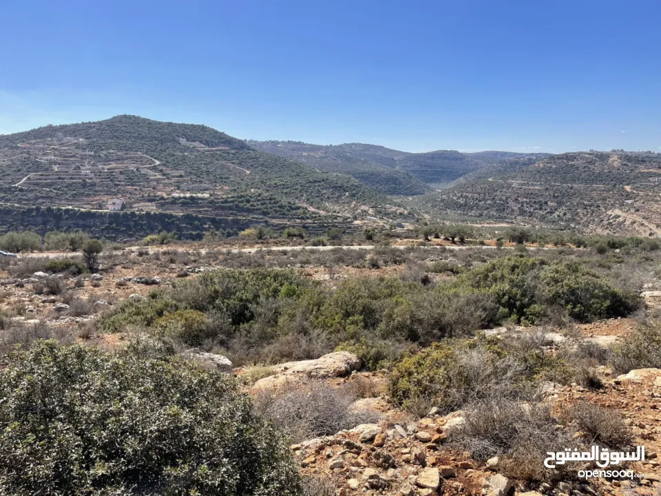 أراضي بمساحات متنوعه للبيع تصنيف A طابو فلسطيني