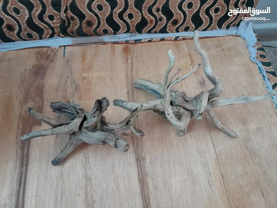 حوض اسماك كريستال