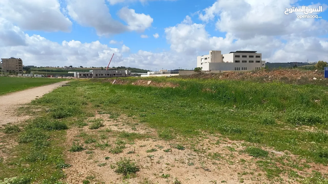 Land For Sale In Alyadodeh ( Property 42386 )-174714076