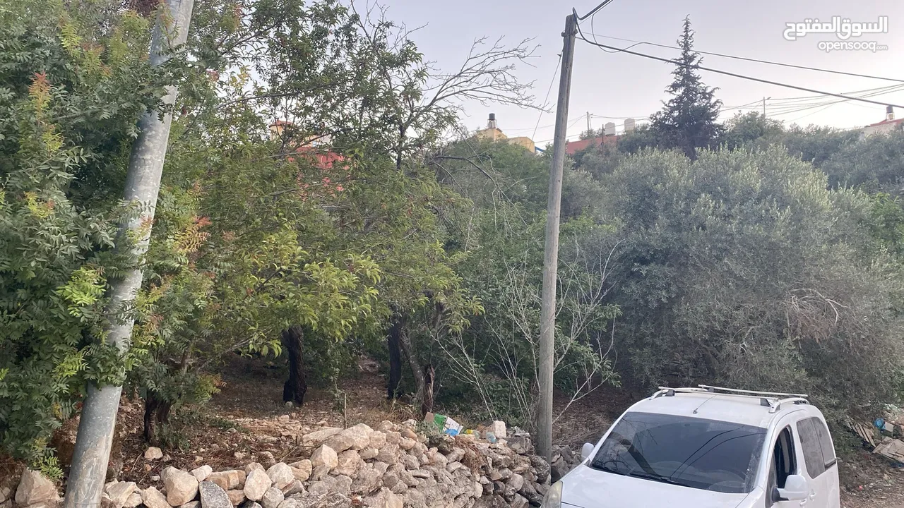 ارض 240 متر مربع بسعر لا يعوض