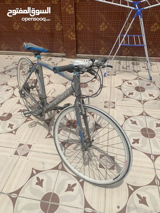 Pro bicycle for race : دراجات هوائية مستعمل : دبي الراشدية (226008046)