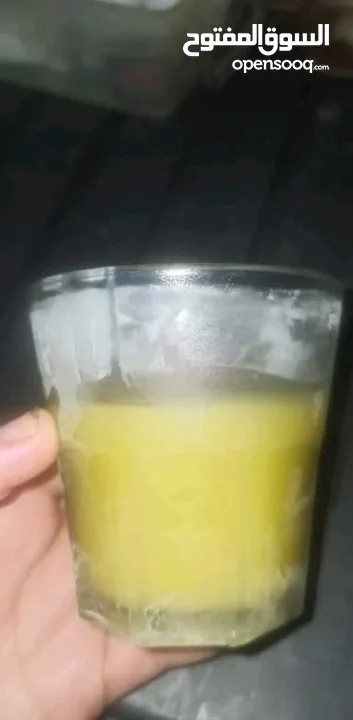 زيت بلدي بعل انتاج السنة. زيت زيتون بلدي 100% جودة لا تُضاهى، طعم أصيل!