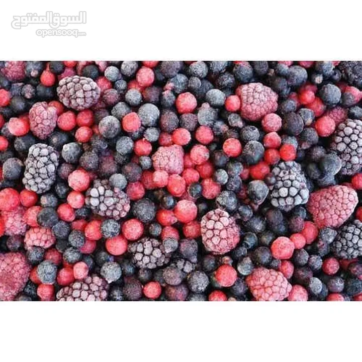فواكه مجمدة باعلى جوده على الاطلاق