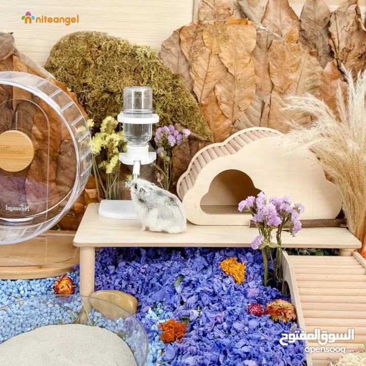 Hamster wheel and water bottle