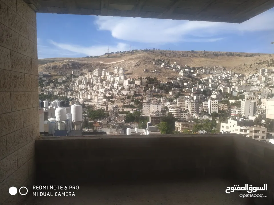 شقه عظم للبيع