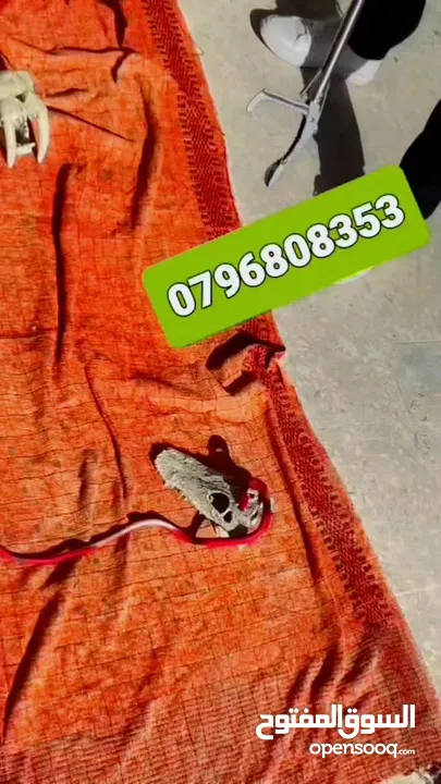 ملقط متعدد الاستعمالات