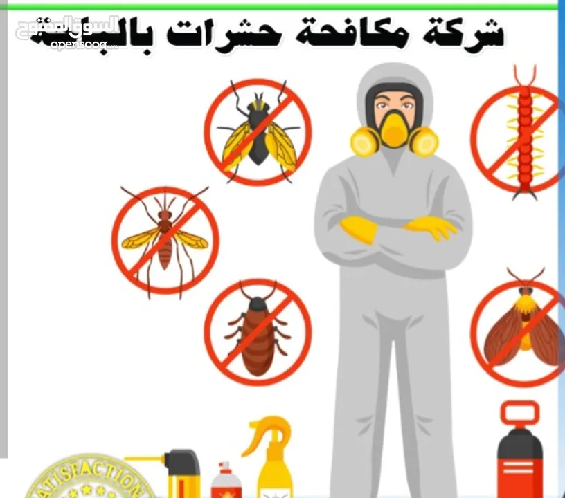 مكافحة الحشرات جميع انواع الحشرات رش أشجار بيوت فلل محلات  عروض الصيف