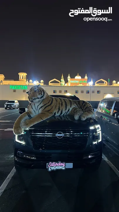 Tiger toy real size , دمية نمر حجم حقيقي