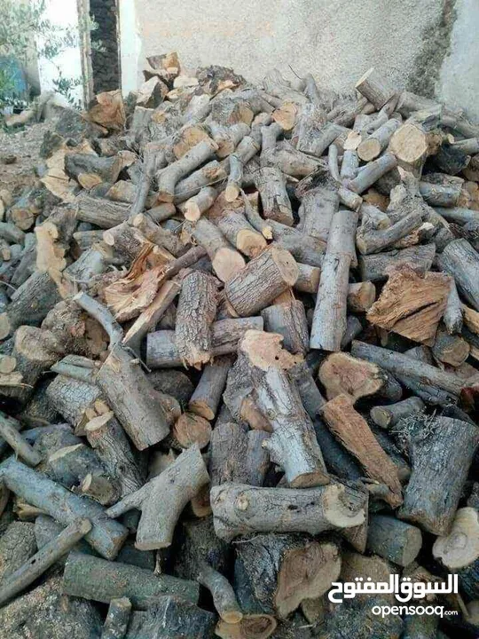 حطب زيتون يابس لمطاعم الزرب