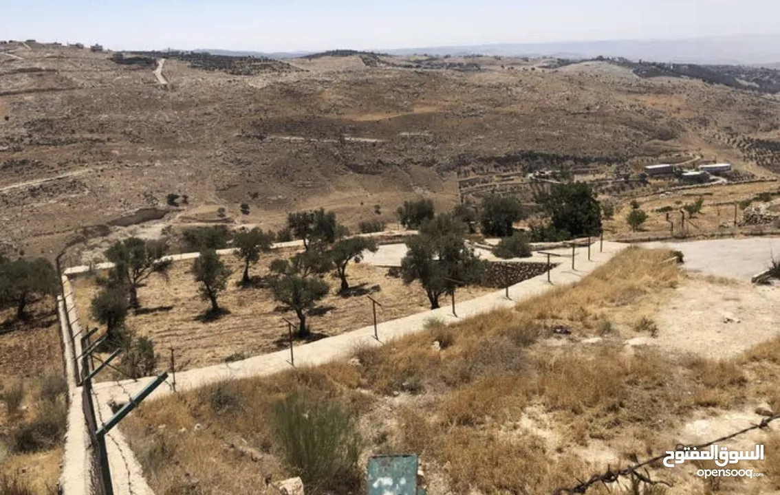 مزرعة للبيع في السلط