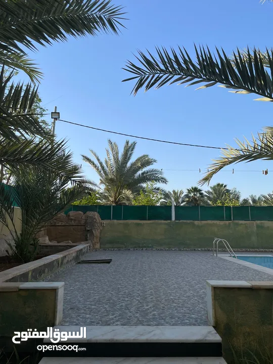 فيلا للبيع في الشونة الجنوبية