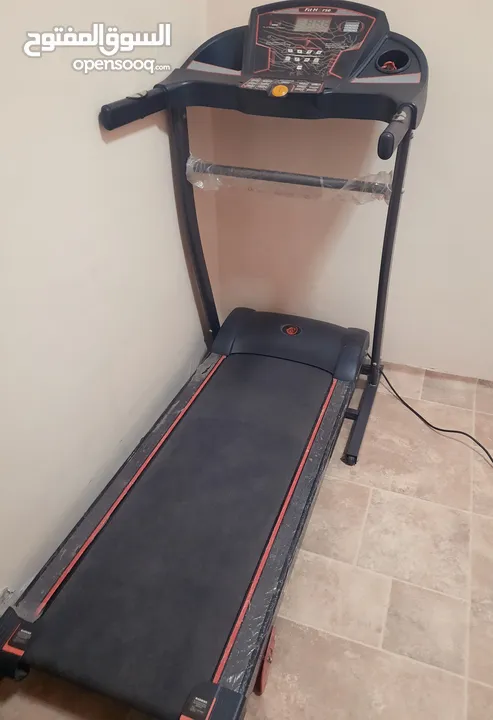 Fit horse treadmill