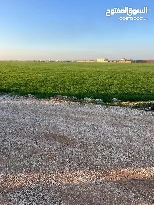 ارض للبيع الصريح المتر 48 المسرب جنوبي