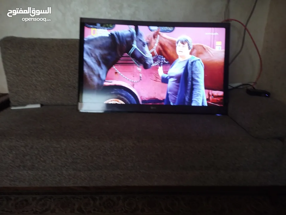 شاشه تلفزيون