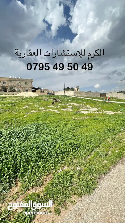 ارض للبيع شمال عمان الرمان