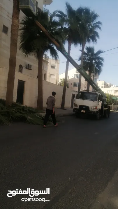 ونش سلة لكافة الأعمال  اقل الاسعار المرتفعه خدمة 24