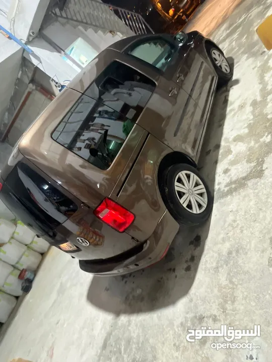 كادي شصي قصير