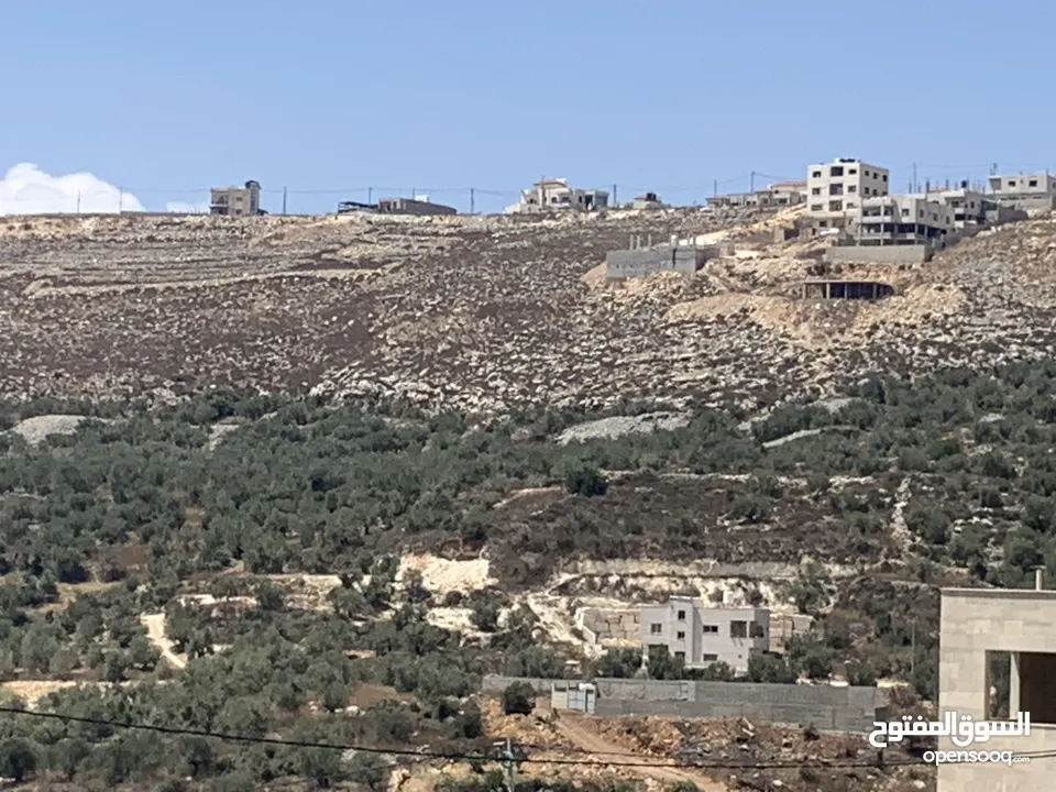 ارض مميزة جداً للبناء او الاستثمار في محيط حي العمدان بنابلس الجديدة وتقع على ثلاثة شوارع هيكلية